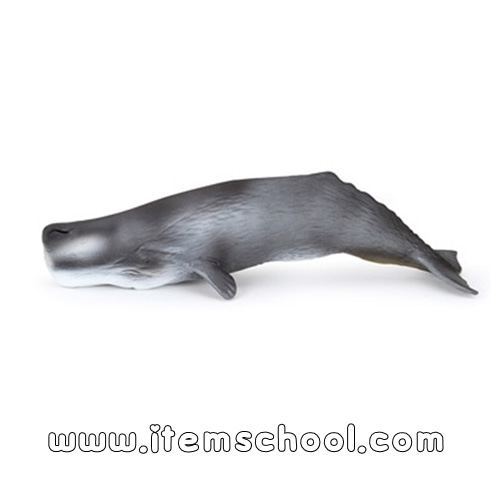 향유고래모형(28cm)