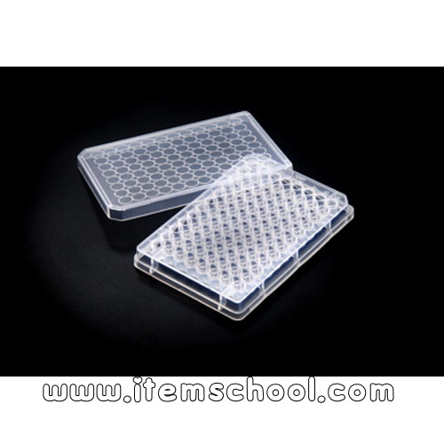96Well Cell Culture  Plate (SPL)