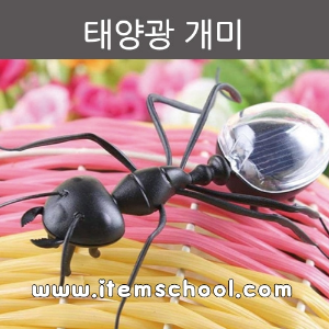 태양광 개미