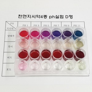 [CH022] 천연지시약 4종 ph실험 D형 4인용
