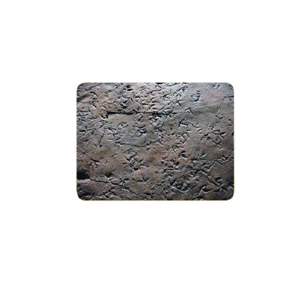 새발자국화석모형[초등4-1]