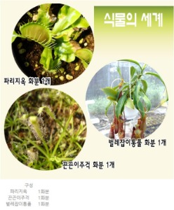 식충식물3종 - 식물의 세계