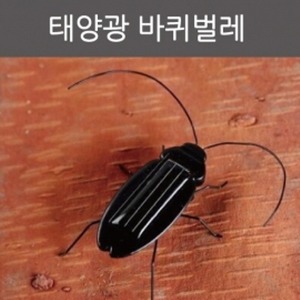 태양광 바퀴벌레