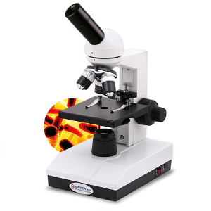 충전식현미경(생물-단안)MST시리즈(MST-1200)