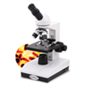 LED생물현미경(학생용,줌)초중고MST-ZA시리즈 (MST-Z900A)