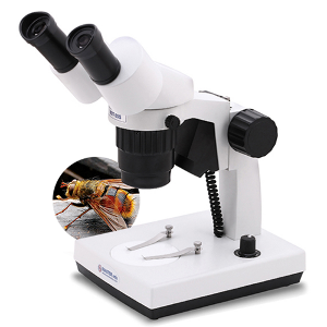 LED충전식실체현미경(학생용 초중고)MST-SS시리즈 (MST-40SS)