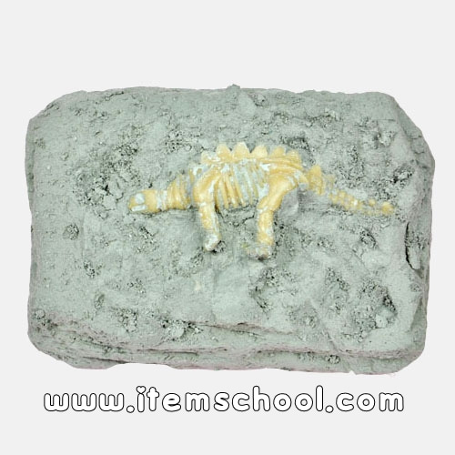 공룡화석발굴 set