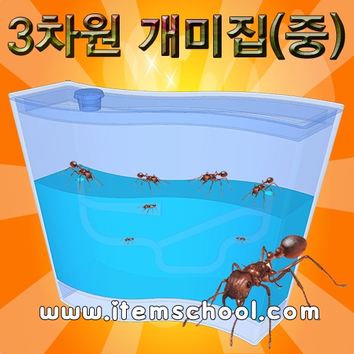 3차원 개미집(중)
