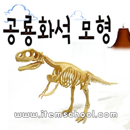 공룡화석모형-티라노사우루스(1개)