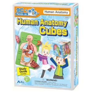 인체큐브&amp;퍼즐세트 Human Anatomy Cubes