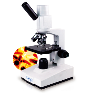 멀티영상현미경(PC용-생물)(MST-PCL2000A)