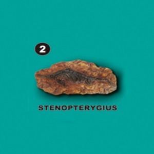 [수중생물화석발굴] 스테노프테리기우스 [SA2]
