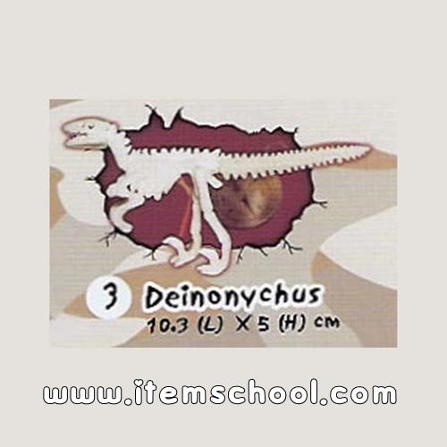 미니공룡뼈발굴 - 데이노니쿠스