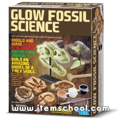야광발굴놀이(Glow Fossil Science)